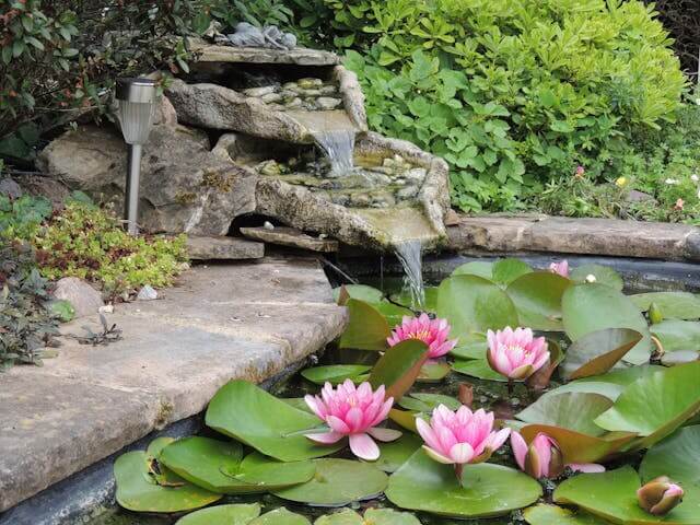 Japanese style garden pond with water fall