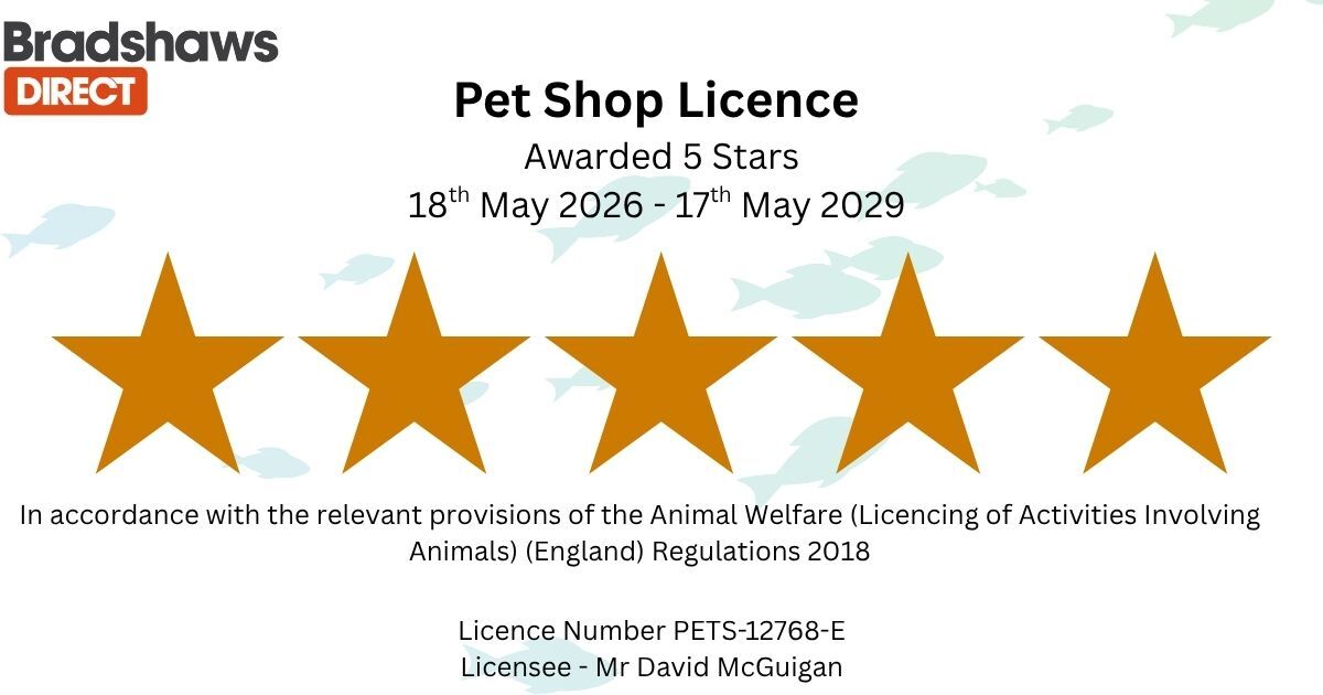 Pet Shop Licence